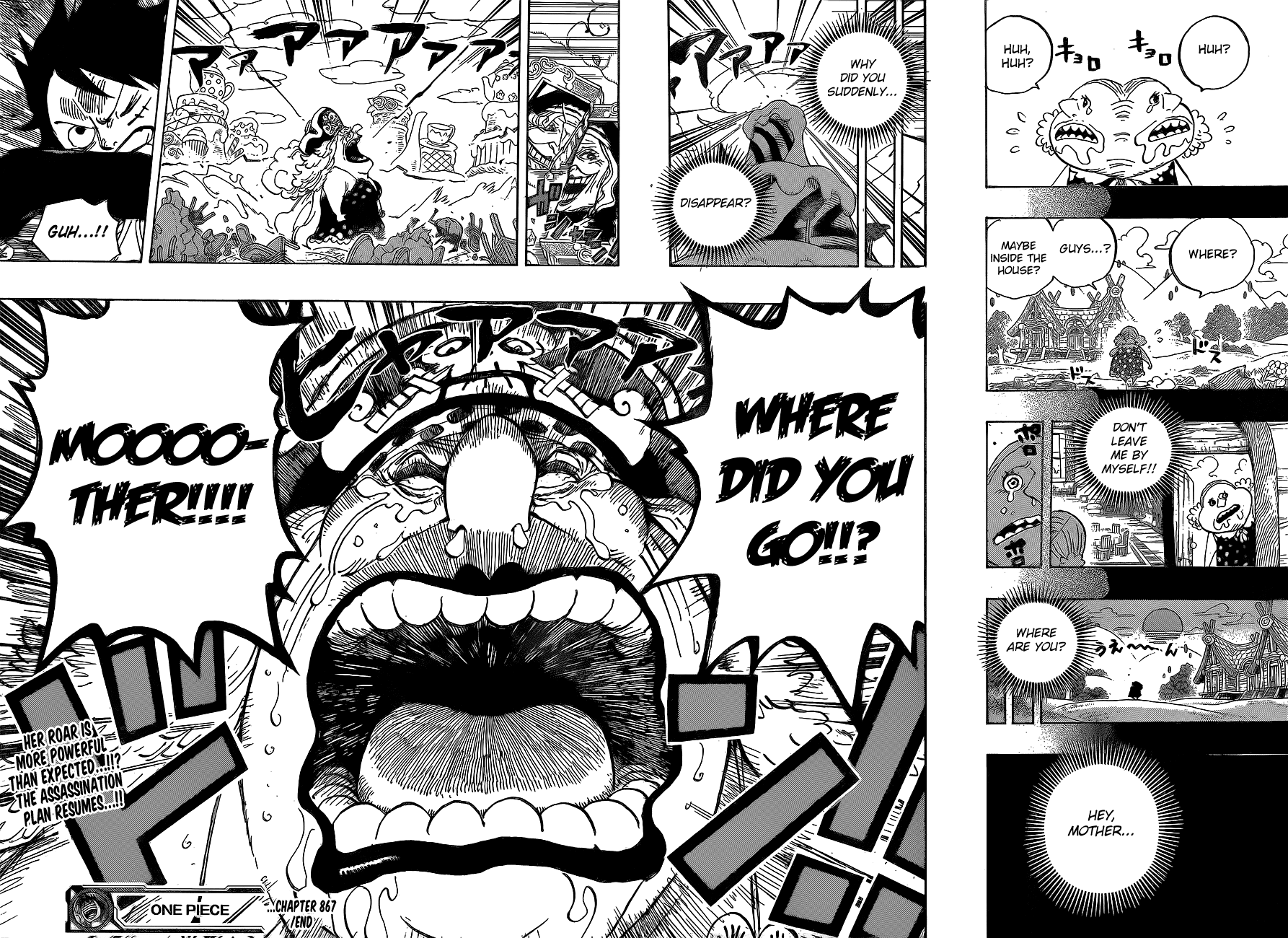 One Piece, Chapter 867 image 15